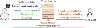 Automatic inference of hypoglycemia causes in type 1 diabetes: a feasibility study